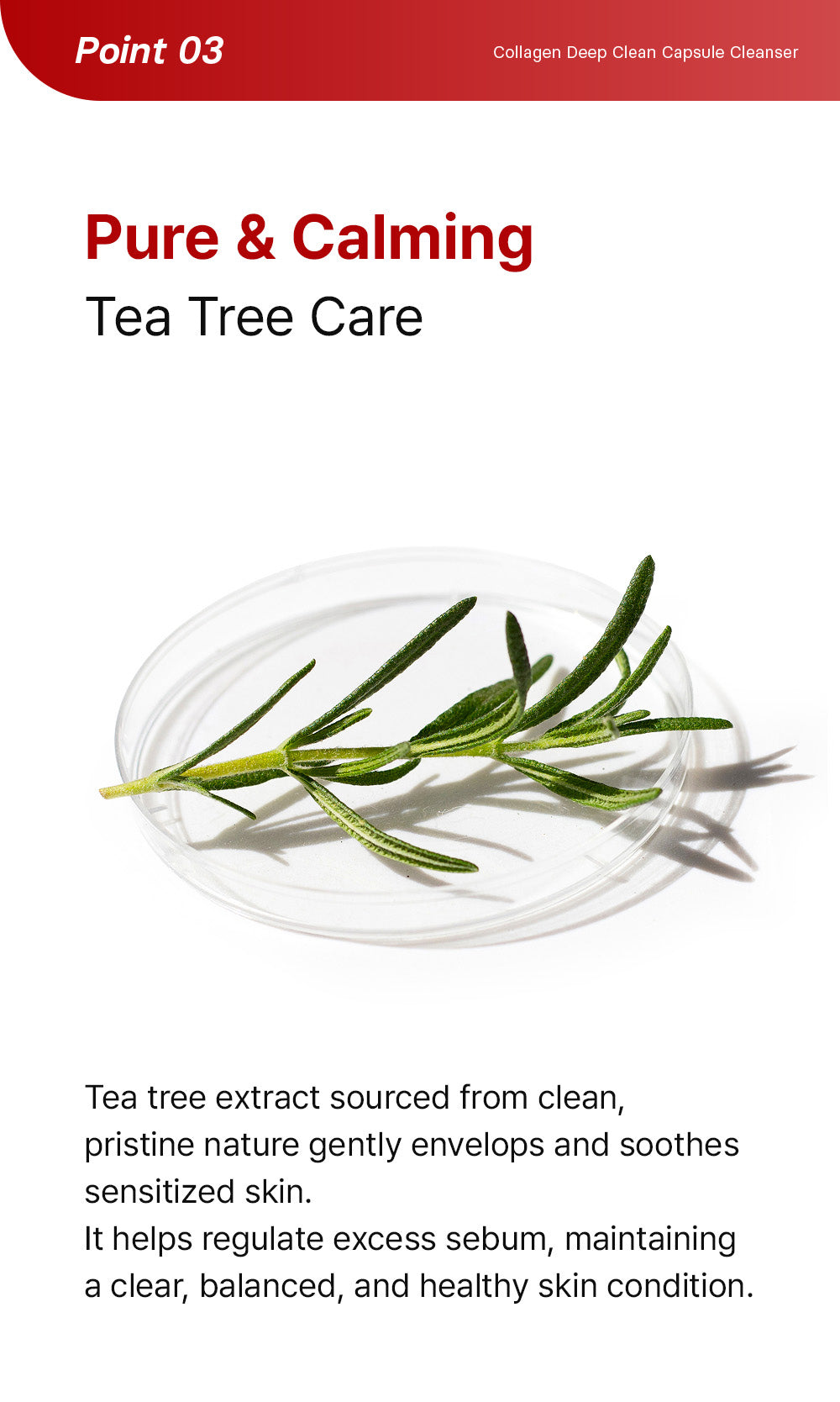 Collagen Deep Clean Capsule Cleanser